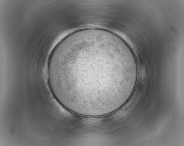 X0000112741294200909031458