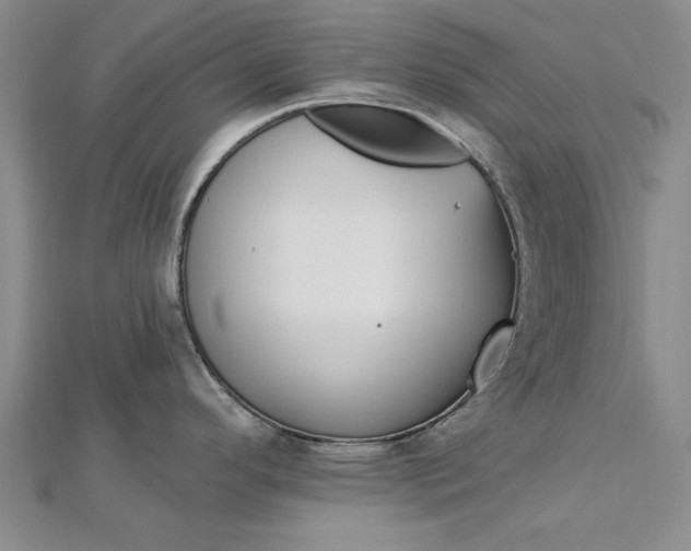 X0000112741296200909031458