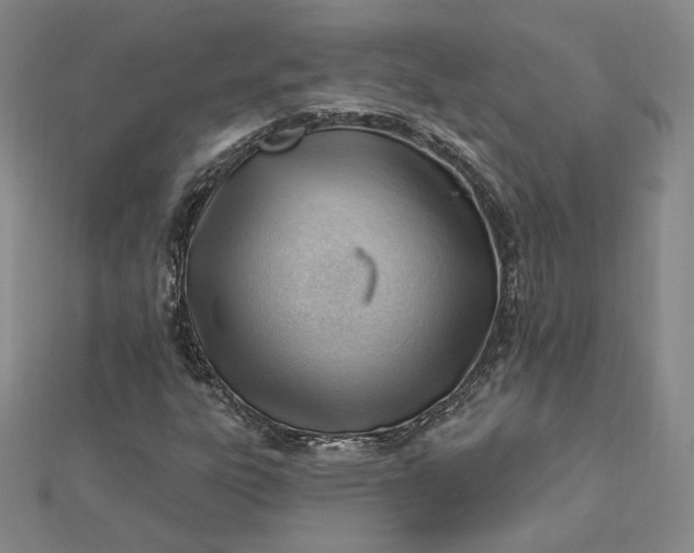 X0000112741303200909031457