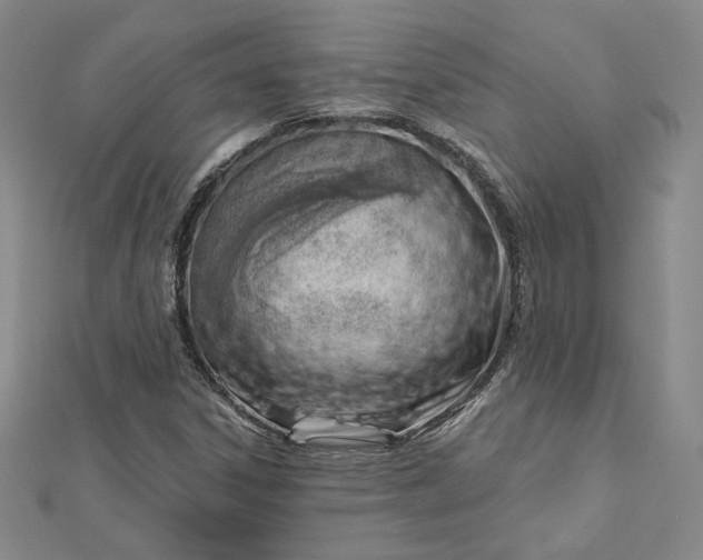 X0000112741306200909031457