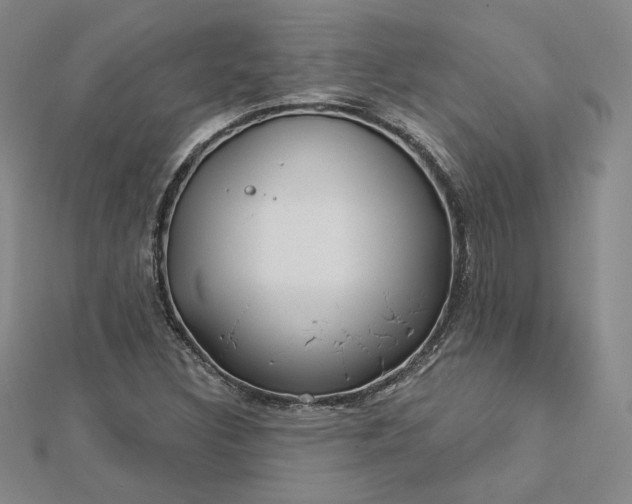 X0000112741308200909031457