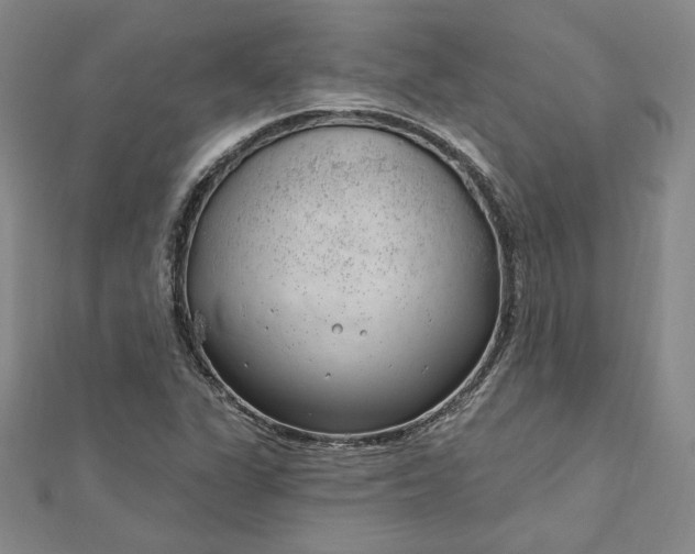 X0000112741311200909031457