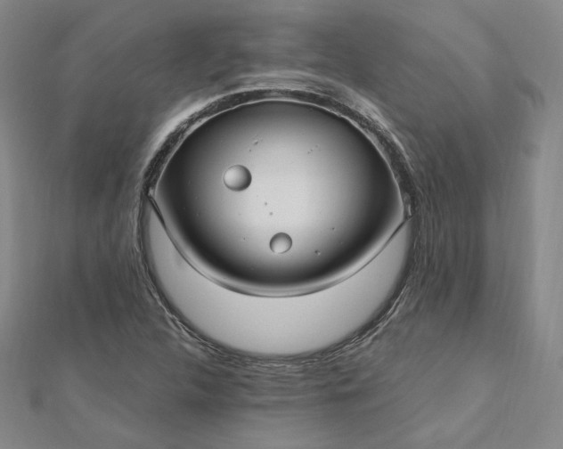 X0000112741312200909031457