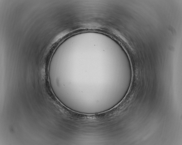 X0000112741315200909031457