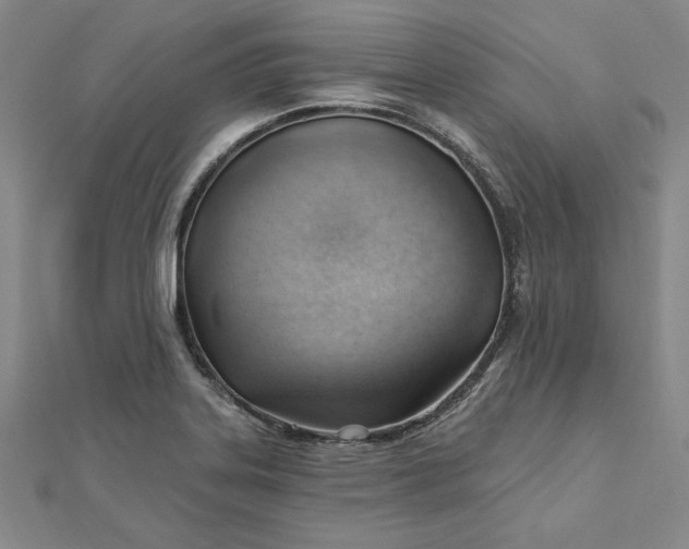 X0000112741323200909031458