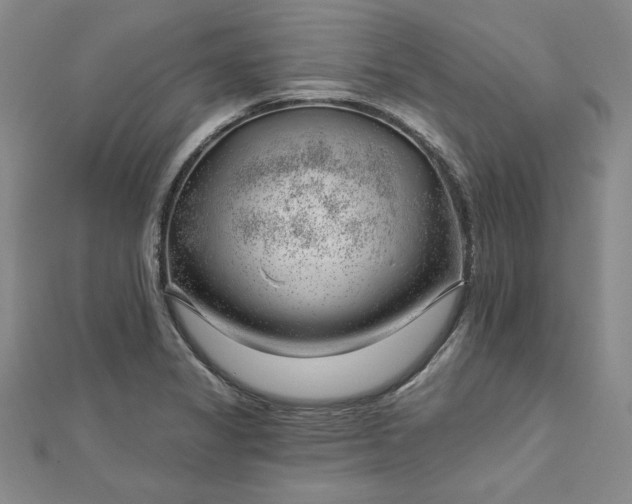 X0000112741325200909031458