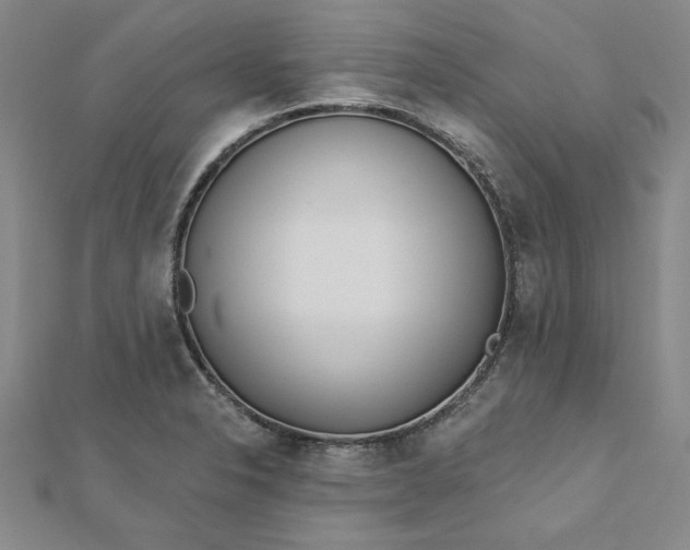 X0000112741326200909031458