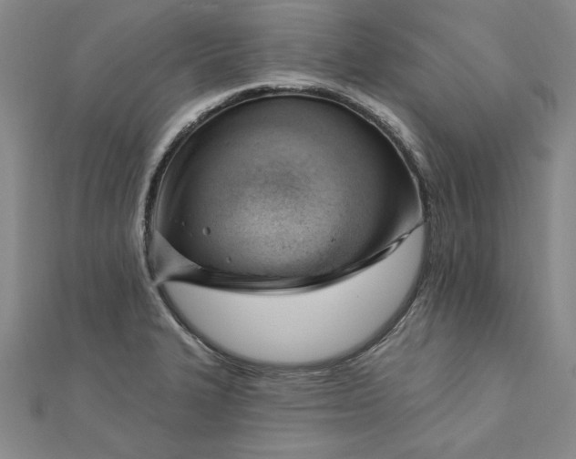 X0000112741327200909031458