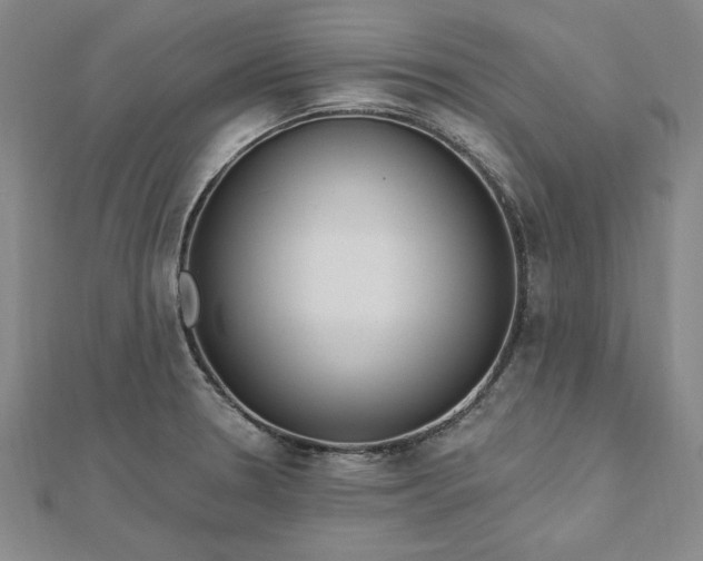 X0000112741330200909031458