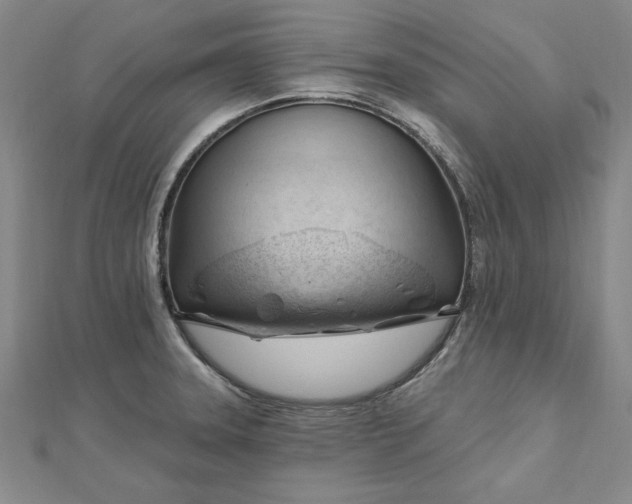 X0000112741331200909031458