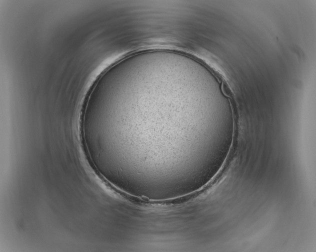 X0000112741333200909031458