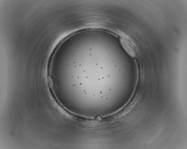 X0000112741334200909031458