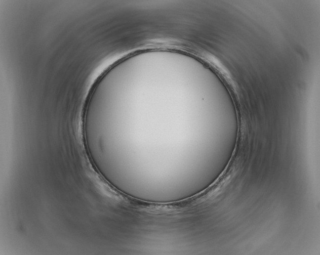 X0000112741336200909031458