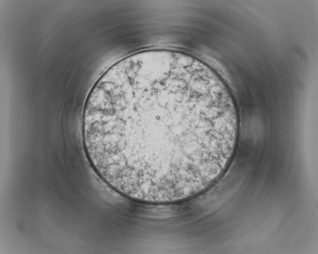 X0000112741338200909031458