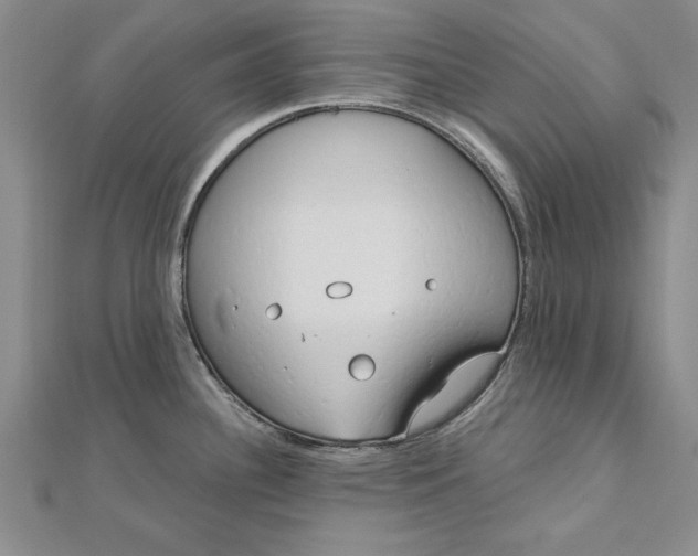 X0000112741340200909031458