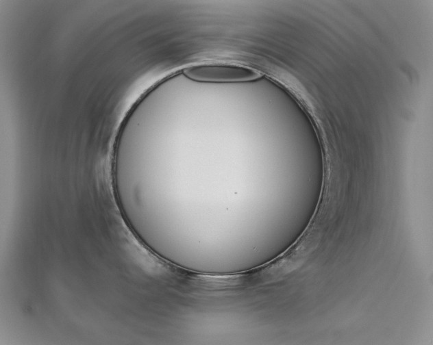 X0000112741344200909031458