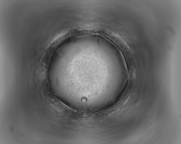 X0000112741350200909031457