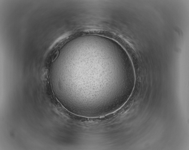 X0000112741351200909031457