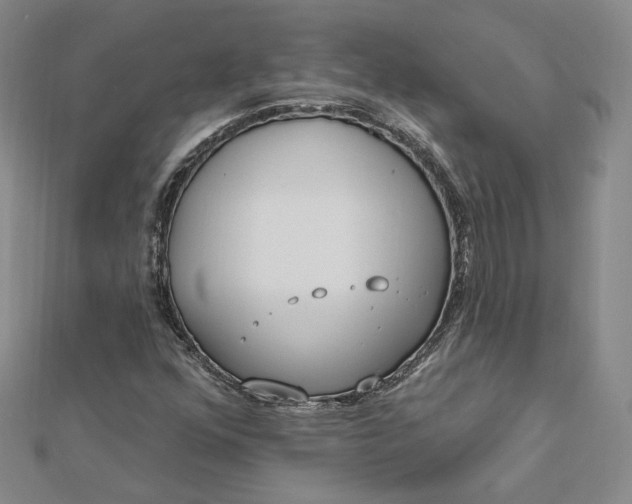 X0000112741352200909031457