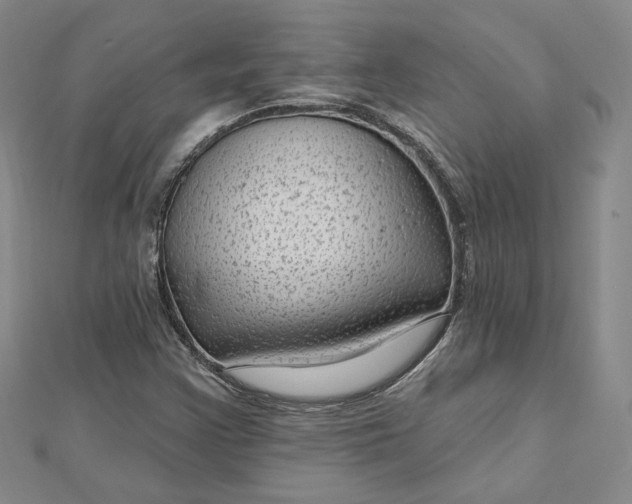 X0000112741355200909031457