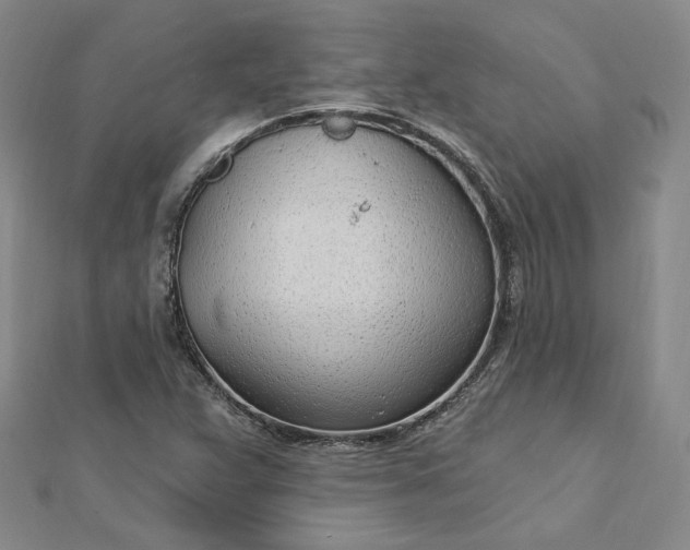 X0000112741359200909031457