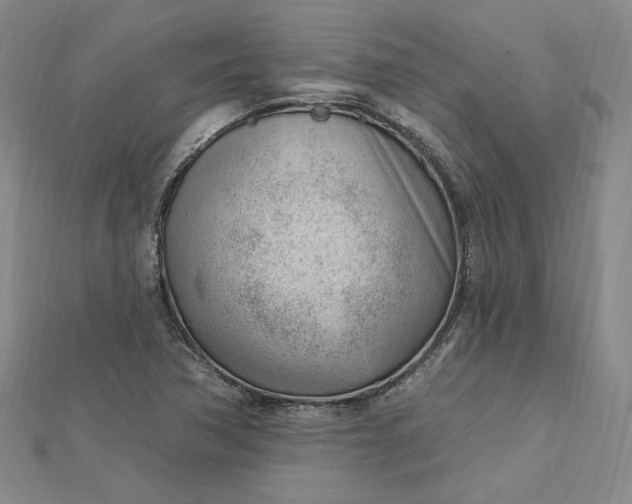 X0000112741362200909031457