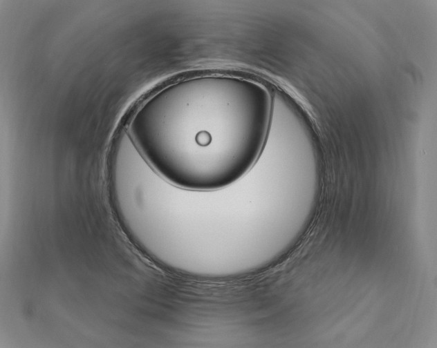 X0000112741364200909031457