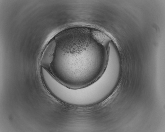 X0000112741365200909031457