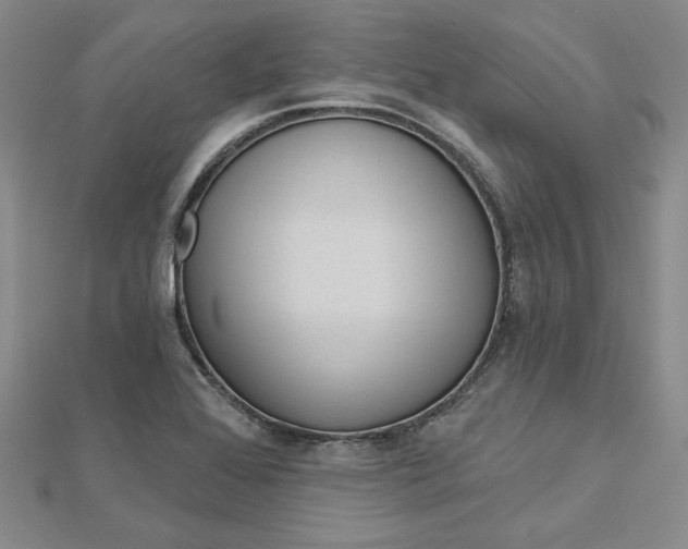 X0000112741368200909031457