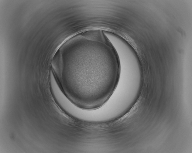 X0000112741369200909031457