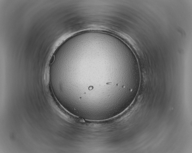 X0000112741371200909031457