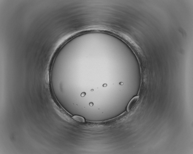 X0000112741372200909031457