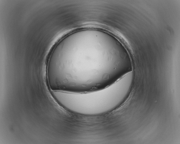 X0000112741376200909031457