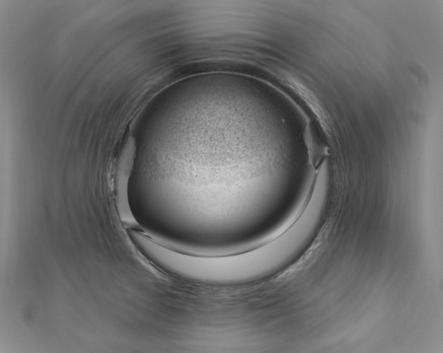 X0000112741377200909031457