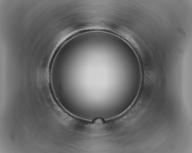 X0000112741380200909031457