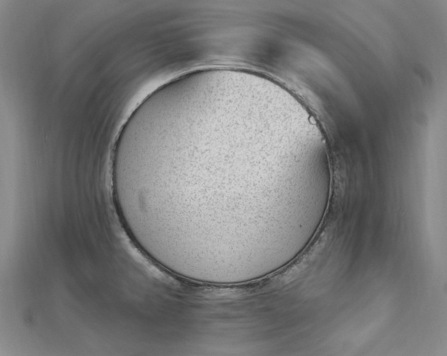 X0000112741382200909031457