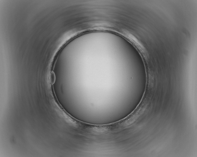 X0000112741384200909031457