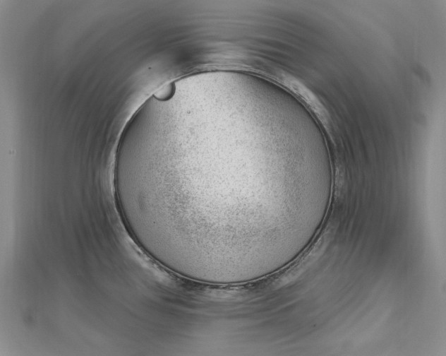 X0000112741386200909031457