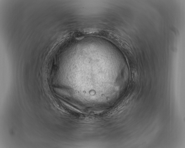 X0000112741393200909031456