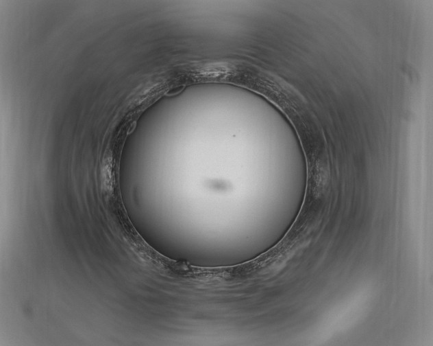 X0000112741394200909031456