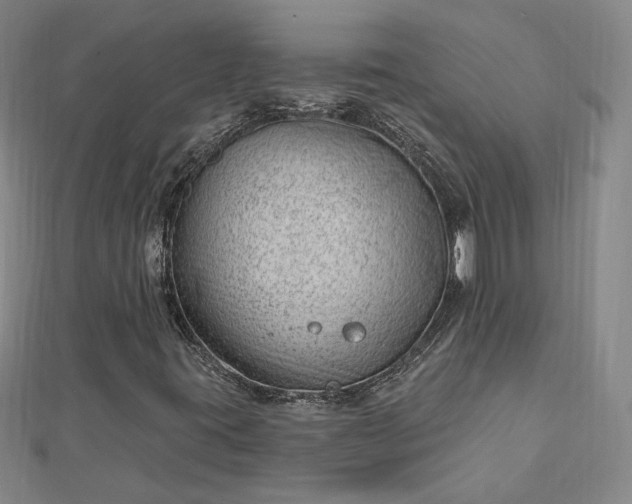 X0000112741395200909031456