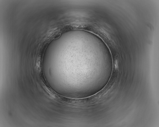 X0000112741396200909031456