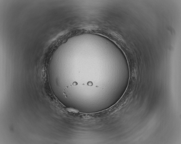 X0000112741398200909031456