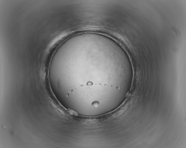 X0000112741406200909031456