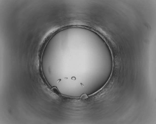 X0000112741408200909031456