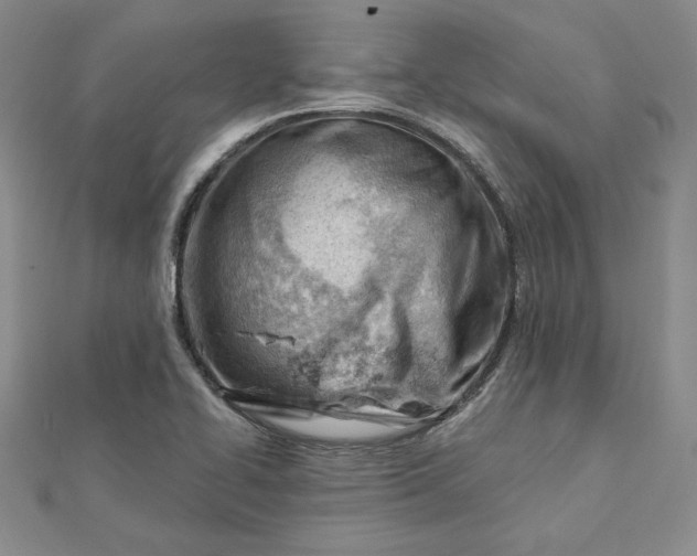 X0000112741414200909031456