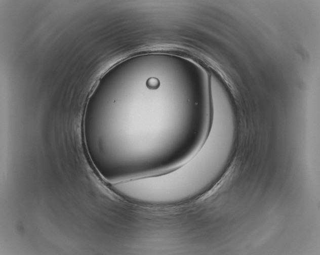 X0000112741417200909031456