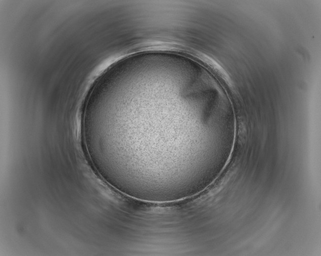 X0000112741419200909031456