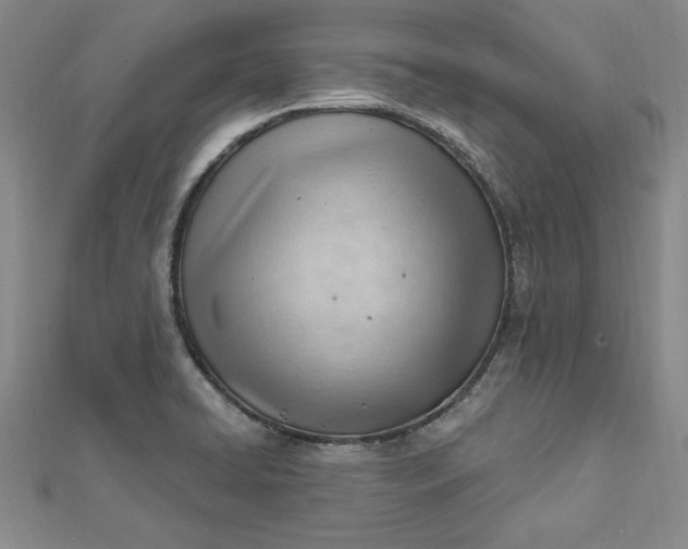 X0000112741422200909031456