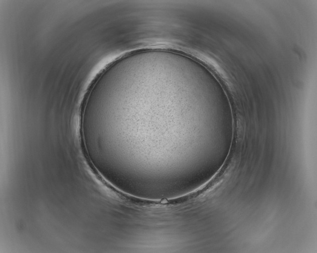 X0000112741424200909031456